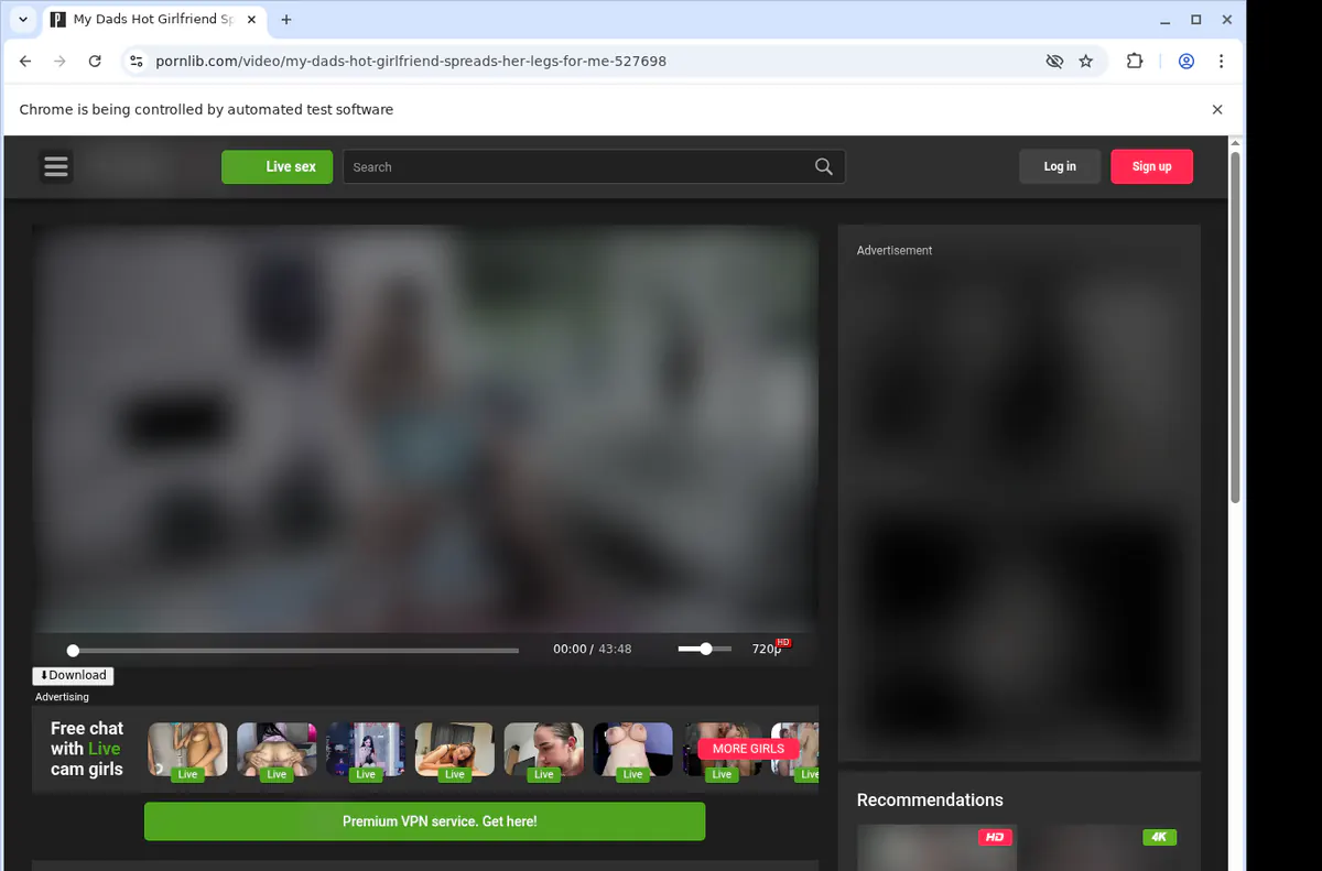 Pornlib Video Downloader browser extension screenshot 2