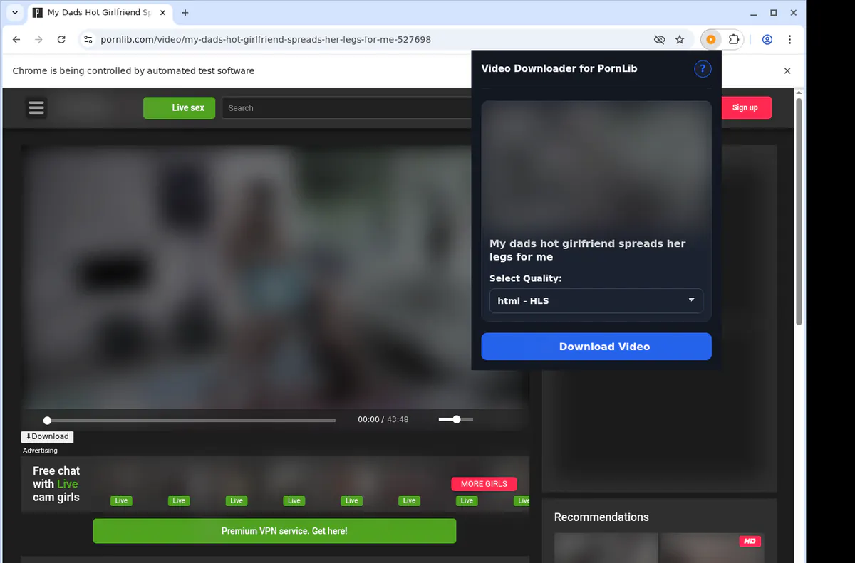 Pornlib Video Downloader browser extension screenshot 3