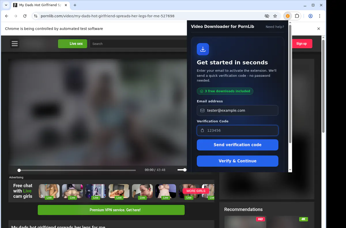 Pornlib Video Downloader browser extension screenshot 4