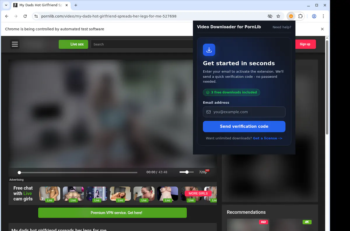 Pornlib Video Downloader browser extension screenshot 5
